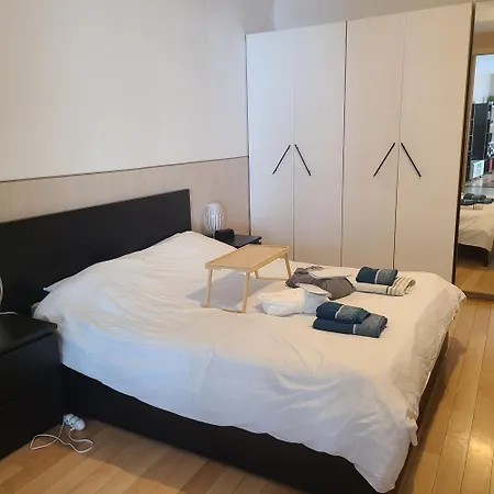 Daire Loft Avec Et Billard Brest